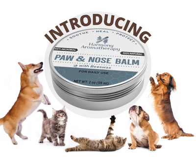 Embracing the Harmony: Introducing Our Aromatherapy Pet Skin Soothing Balm