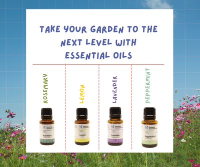 Take your garden to the next level with essential oils!