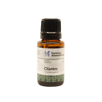 Cilantro essential oil on white background