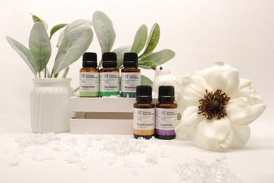 Five Essential oils for winter: peppermint, eucalyptus, rosemary, frankincense, lavender