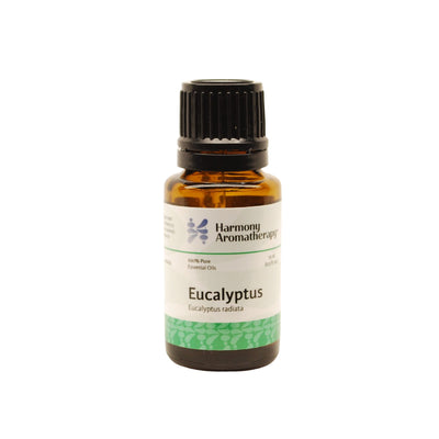 Eucalyptus essential oil on white background