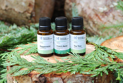 Outdoor starter bundle of essentials oils on a log: peppermint, insect away, and tea tree