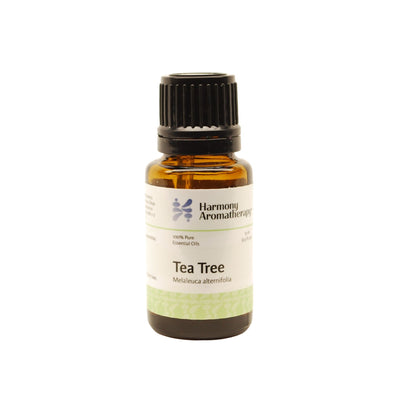 Tea Tree essential oil on white background